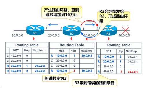 數(shù)據(jù)通信網(wǎng)絡(luò)層協(xié)議 RIP與BGP的剖析及無線網(wǎng)絡(luò)系統(tǒng)性能檢測服務(wù)概述