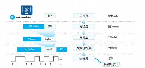 網(wǎng)絡(luò)通信基礎(chǔ)入門與無線網(wǎng)絡(luò)性能檢測服務(wù)概述
